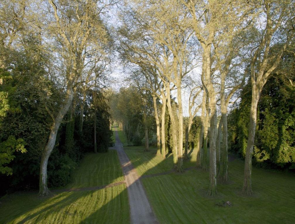 Chateau De Villars Villeneuve-sur-Allier Exteriör bild