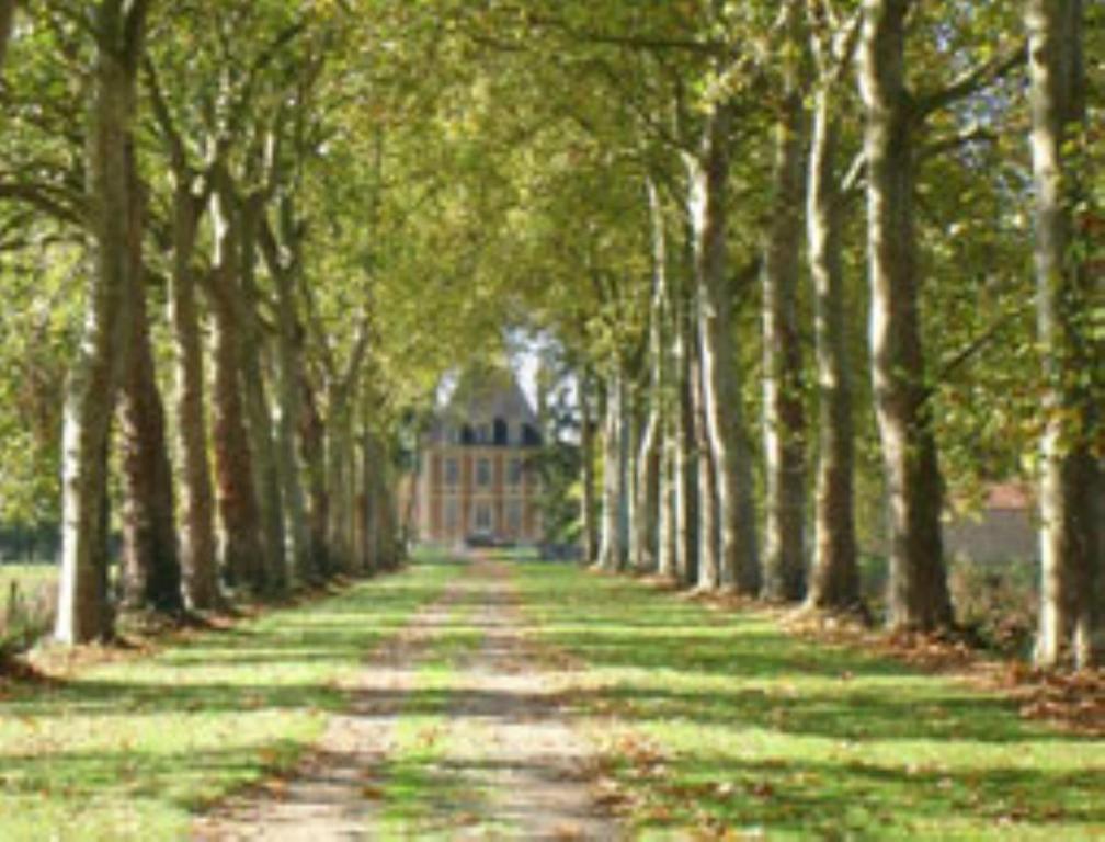 Chateau De Villars Villeneuve-sur-Allier Exteriör bild