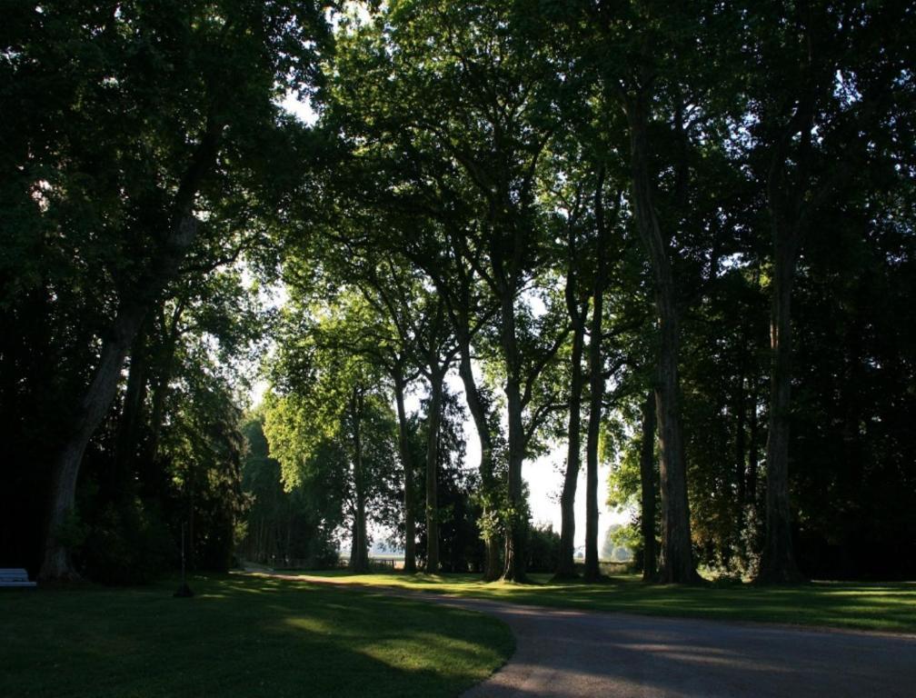 Chateau De Villars Villeneuve-sur-Allier Exteriör bild