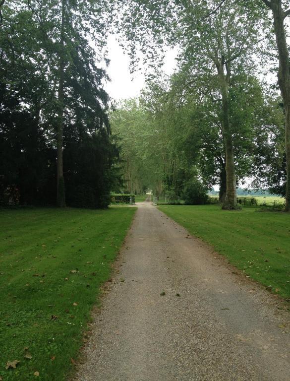 Chateau De Villars Villeneuve-sur-Allier Exteriör bild